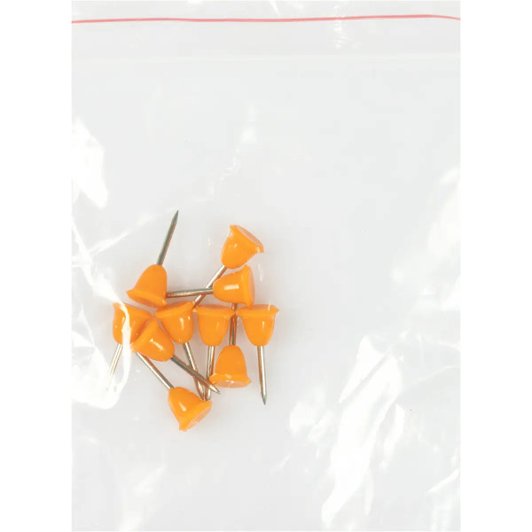 Brain Tackle Box #37 24.2x14.2x5cm