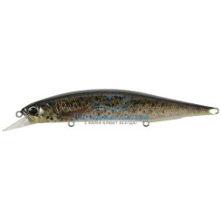 Воблер DUO Realis Jerkbait 120SP 120мм 18.0g CCC3815