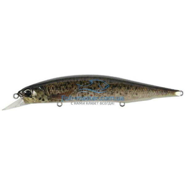 Воблер DUO Realis Jerkbait 120SP 120мм 18.0g CCC3815