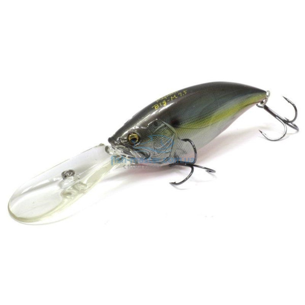 Wobbler Megabass Big-M 7.5 Jukucho Shad