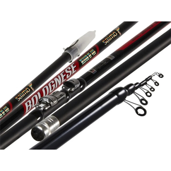 Salmo Diamond Bolognese Medium MF 4m 5-20g float rod with rings (2251-400)