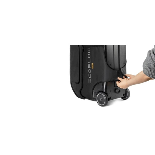 EcoFlow DELTA Pro Bag