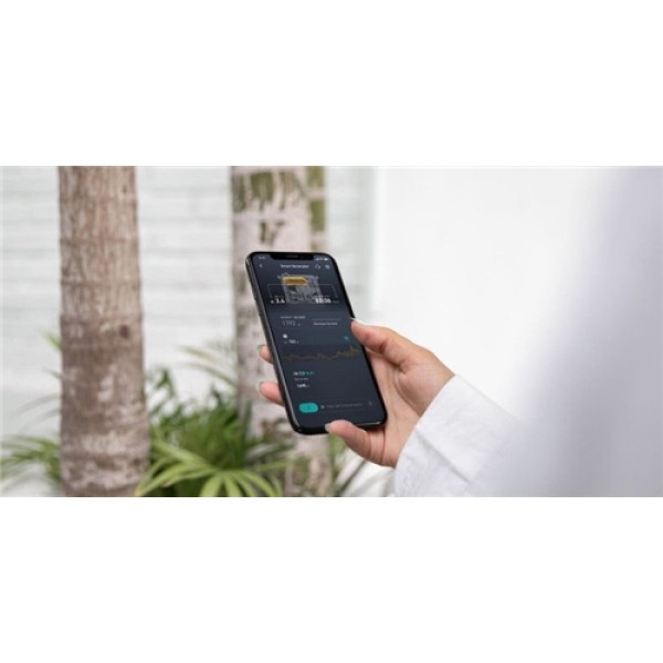 Генератор EcoFlow Smart Generator