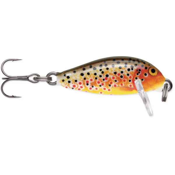 Rapala Countdown Sinking 25mm 2.7g 0.3-0.9m #TR