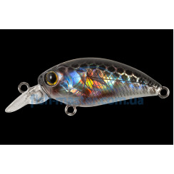Wobbler Tsuyoki FUGAZ 36F 264