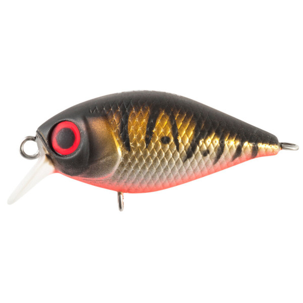 Wobbler Tsuyoki SWING XC 36F 277R