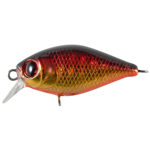 Wobbler Tsuyoki SWING XC 36F 063