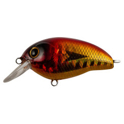 Wobbler Tsuyoki AGENT 40F 55L8