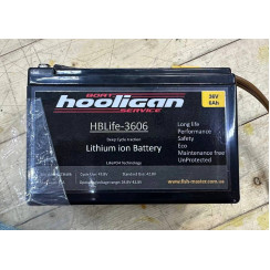 Lithium iron phosphate (lithium iron phosphate) battery LiFePo Fish-master 36V 6Ah