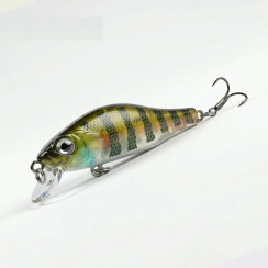 Wobbler Воблер Bearking Khamsin 50SS color G Perch