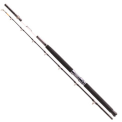 Daiwa Tanacom 2.1m Fishing Rod, 400-1000g