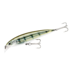 Rapala X-Rap Salwater 100mm 13g #PF
