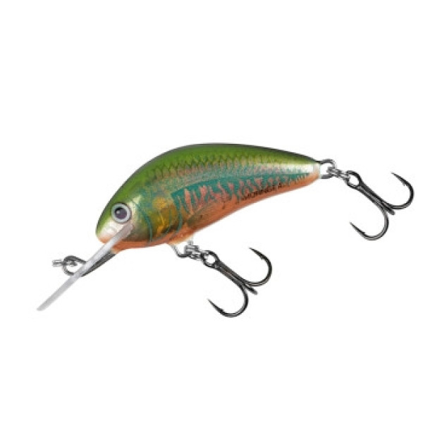 Wobbler Salmo Hornet 50F 7g #Holo Oikawa