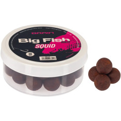 Brain Big Fish Squid Boilies (20mm)