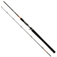 Спиннинг Favorite Totem 130 Series TTM1C-662-130 1.98m 40-130g Fast Casting