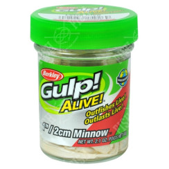 Berkley Gulp fry! Minnow 1" Luma Glow