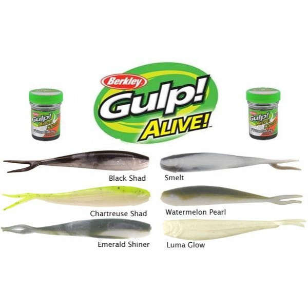 Малёк Berkley Gulp! Minnow 1" Watermelon Pearl