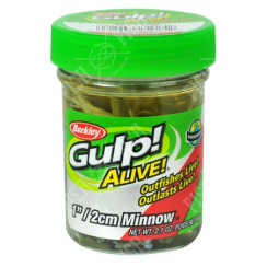 Berkley Gulp fry! Minnow 1" Watermelon Pearl