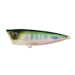 Wobbler EverGreen Ones Bug # 254
