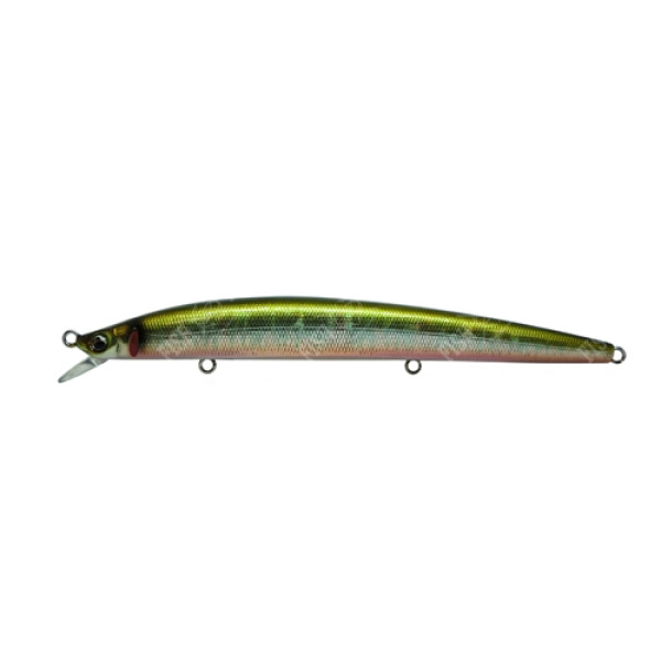 Megabass X-120 wobbler, GG OIKAWA