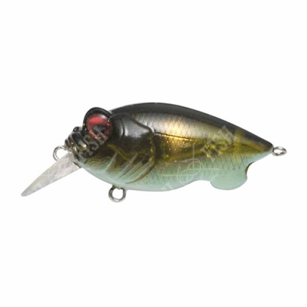 Megabass Baby Griffon wobbler, Avocado Ayu