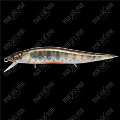 Wobbler Megabass VISION ONETEN Jr. col. BABY TROUT