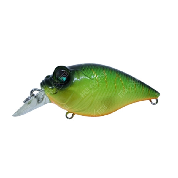 Megabass Quiet Griffon SR-X wobbler, col. Bowat Tiger