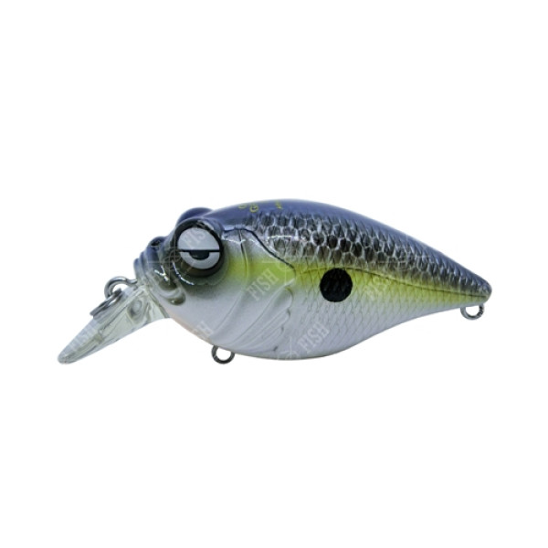 Megabass Quiet Griffon SR-X wobbler, col. MSS