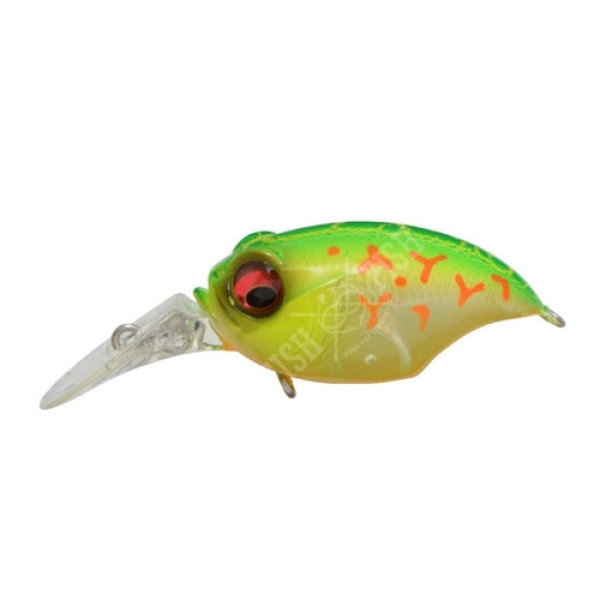 Megabass New MR-X GRIFFON wobbler, col. Crack Lime Chart Bug
