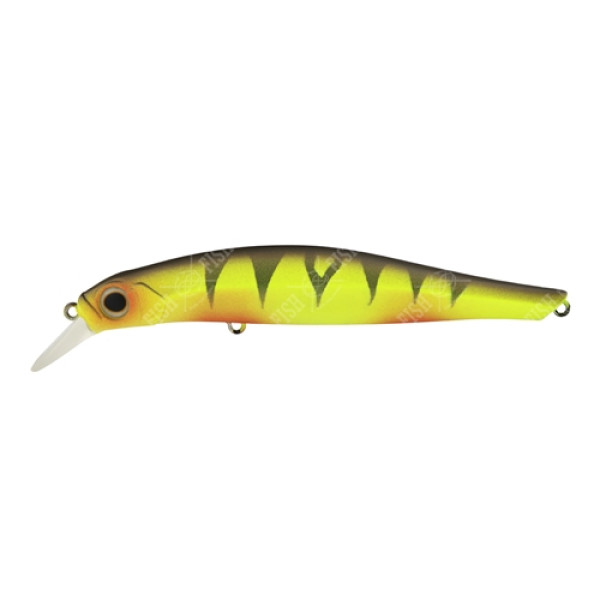 Wobbler Jackson Artist FR105 SP col. PER