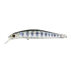 Wobbler Jackson Artist FR105 SP col. CKR