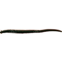 GULP! ALIVE! SANDWORM CAMO 6