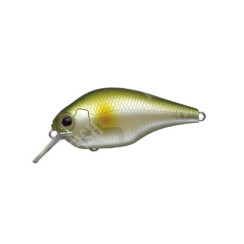 Wobbler Ever Green ZERUCH PETIT | #27