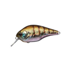 Wobbler Ever Green ZERUCH PETIT | #50
