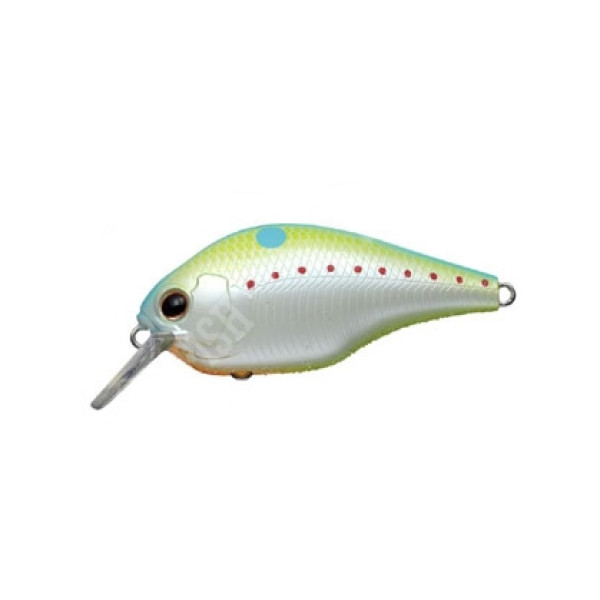 Wobbler Ever Green ZERUCH PETIT | #271