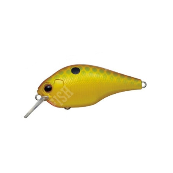 Wobbler Ever Green ZERUCH PETIT | #361
