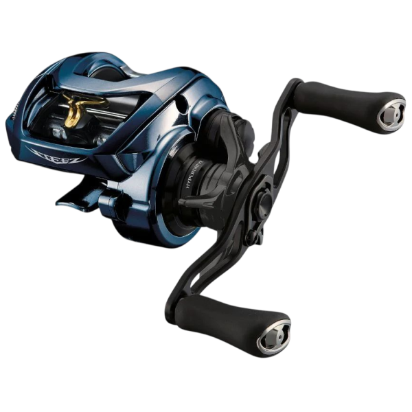 Coil cartoon Daiwa Steez A II TW 1000XHL