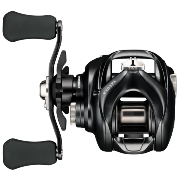 Coil cartoon Daiwa 23 Tatula TW 100XHL