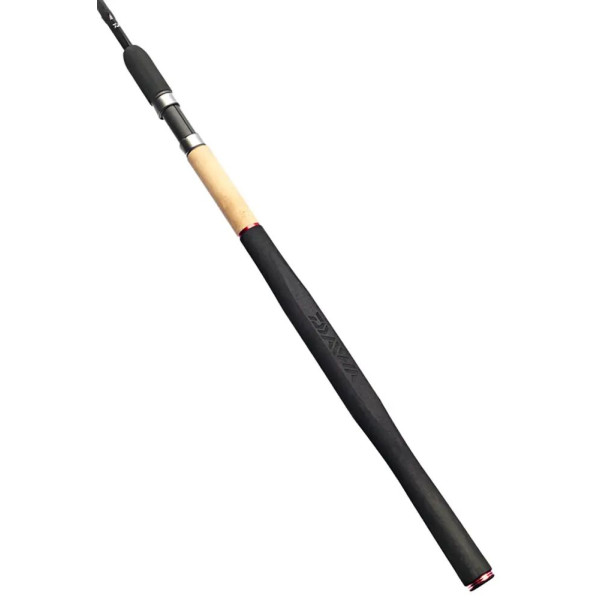Daiwa N'Zon S Feeder 3.00m 40g 2 Quivertips
