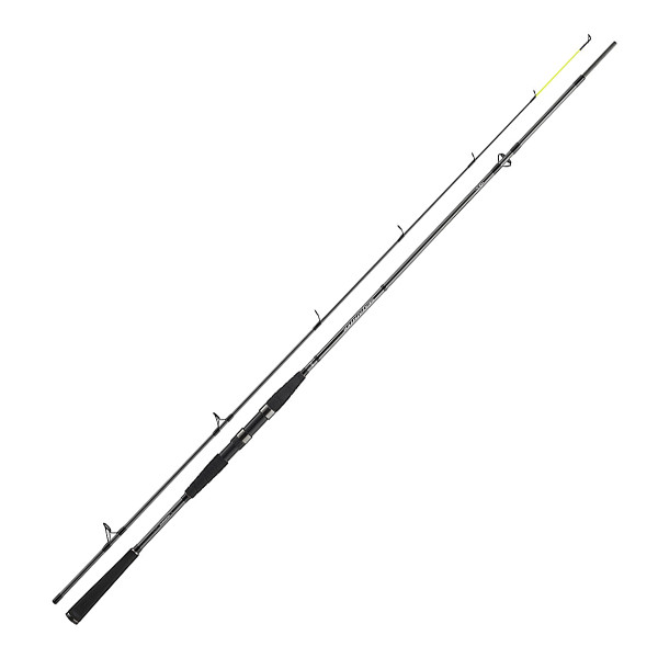 Spinning rod Daiwa Seahunter X 2.70m 30-60g
