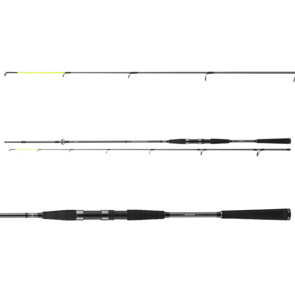 Spinning rod Daiwa Seahunter X 2.70m 30-60g
