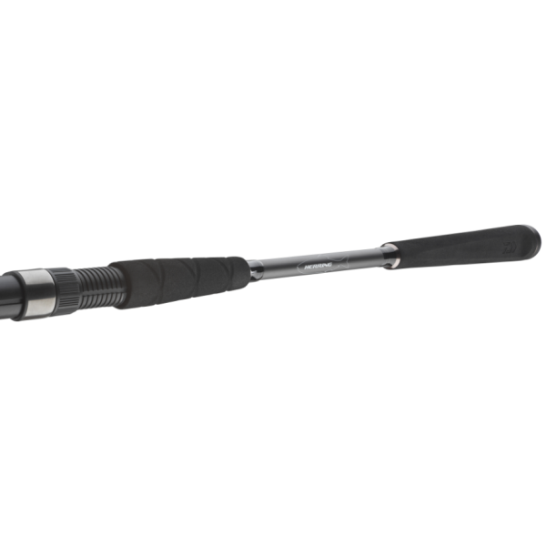 Spinning rod Daiwa Seahunter X 2.70m 30-60g