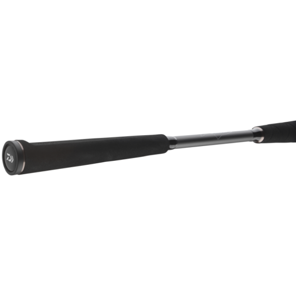 Spinning rod Daiwa Seahunter X 2.70m 30-60g