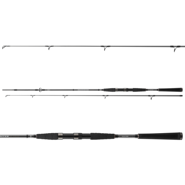 Спиннинг Daiwa Seahunter X 2.70m 40-120g