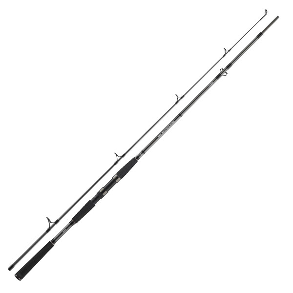 Спінінг Daiwa Seahunter X 2.70m 100-200g
