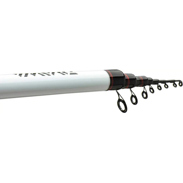 Болонська вудка Daiwa Ninja Bolo 6.00m -25gr