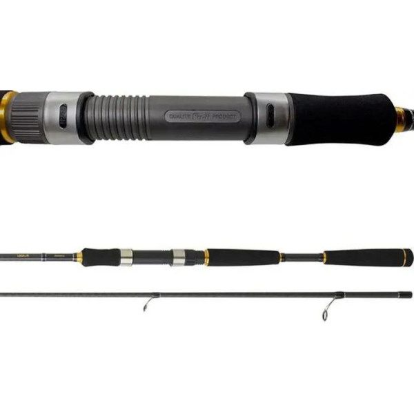 Spinning rod Daiwa Legalis Seabass 2.72m 12-42g