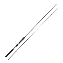Spinning rod Daiwa Crosscast Seabass 2.9m 14-42g