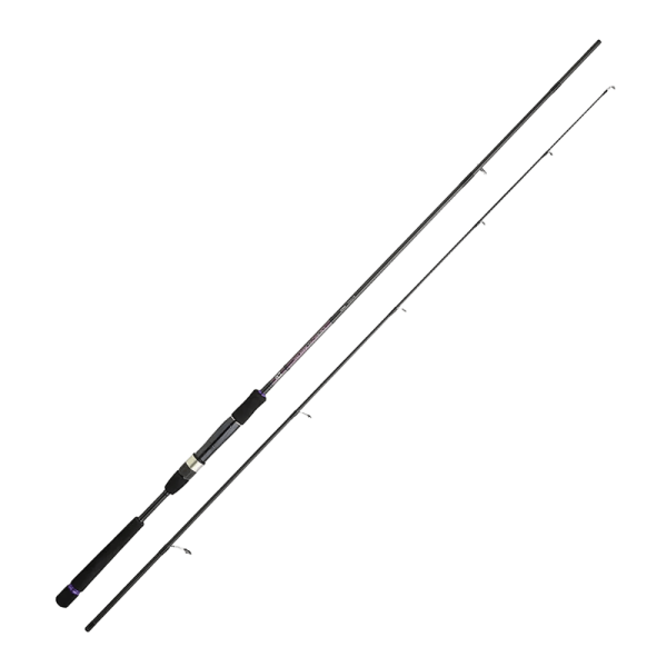 Спиннинг Daiwa Crosscast Seabass 2.9m 14-42g