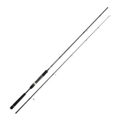 Spinning rod Daiwa Crosscast Seabass 1002HXHFS 3.05m 14-56g